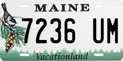 ME license plate 7236UM