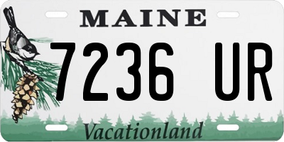 ME license plate 7236UR