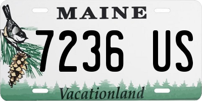 ME license plate 7236US