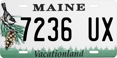 ME license plate 7236UX