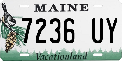 ME license plate 7236UY