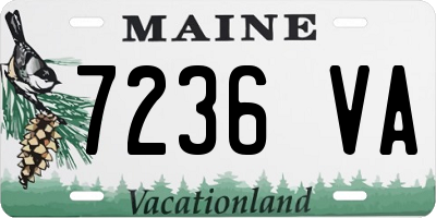 ME license plate 7236VA