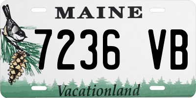 ME license plate 7236VB