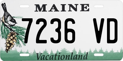 ME license plate 7236VD