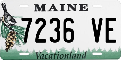 ME license plate 7236VE