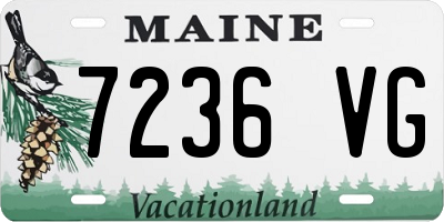 ME license plate 7236VG