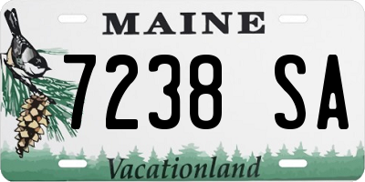 ME license plate 7238SA