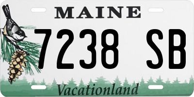 ME license plate 7238SB