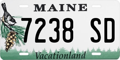 ME license plate 7238SD
