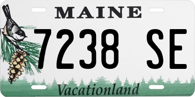 ME license plate 7238SE
