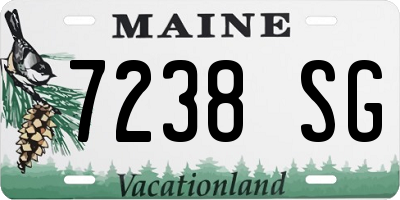 ME license plate 7238SG