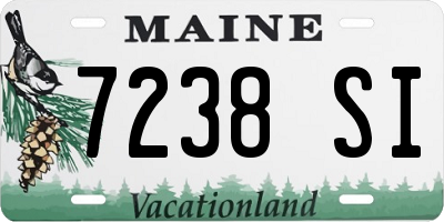 ME license plate 7238SI