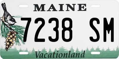 ME license plate 7238SM