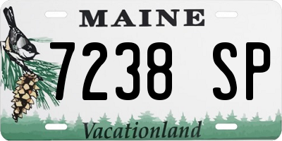 ME license plate 7238SP