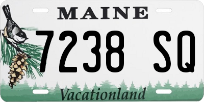ME license plate 7238SQ