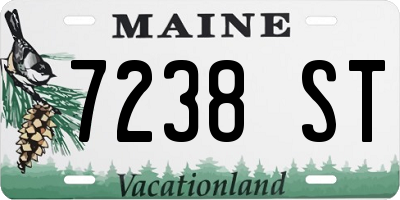 ME license plate 7238ST