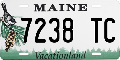 ME license plate 7238TC