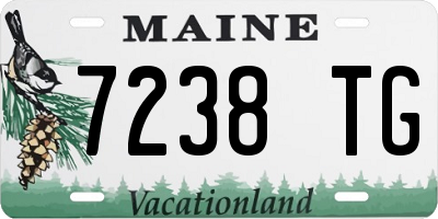 ME license plate 7238TG