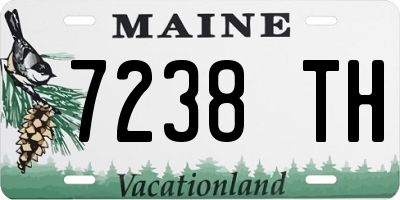 ME license plate 7238TH