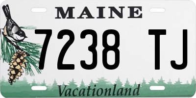 ME license plate 7238TJ