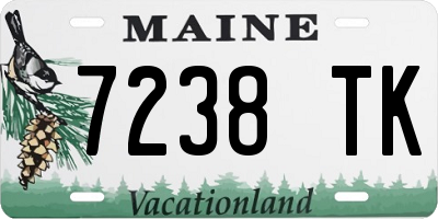 ME license plate 7238TK