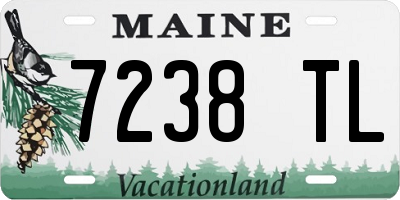 ME license plate 7238TL