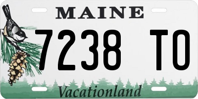 ME license plate 7238TO
