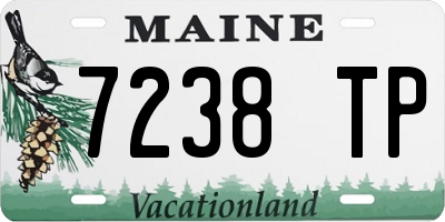 ME license plate 7238TP