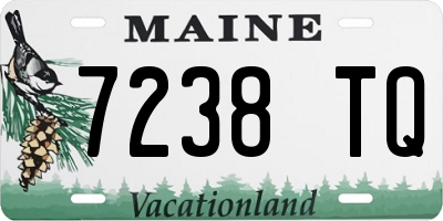 ME license plate 7238TQ