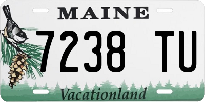 ME license plate 7238TU