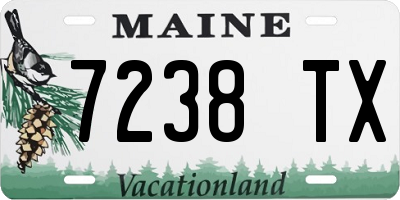 ME license plate 7238TX