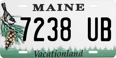 ME license plate 7238UB