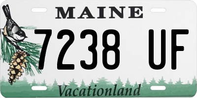 ME license plate 7238UF