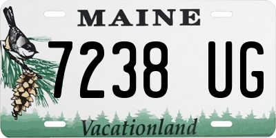 ME license plate 7238UG