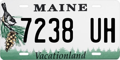 ME license plate 7238UH