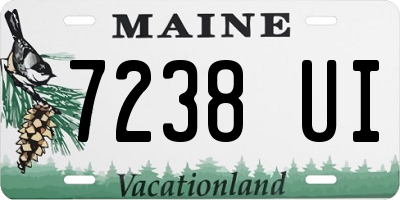 ME license plate 7238UI