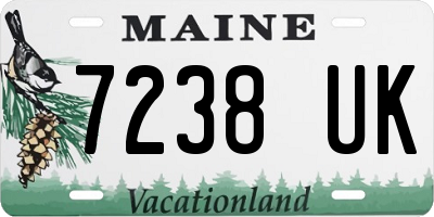 ME license plate 7238UK