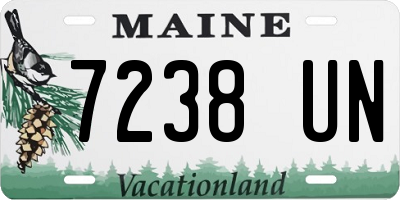 ME license plate 7238UN