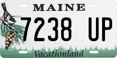 ME license plate 7238UP