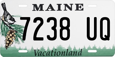 ME license plate 7238UQ