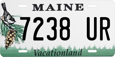 ME license plate 7238UR