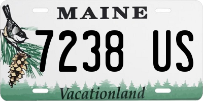 ME license plate 7238US