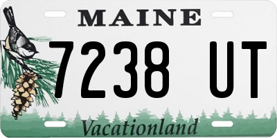 ME license plate 7238UT
