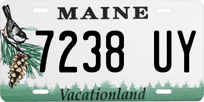 ME license plate 7238UY