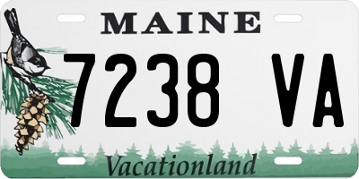 ME license plate 7238VA