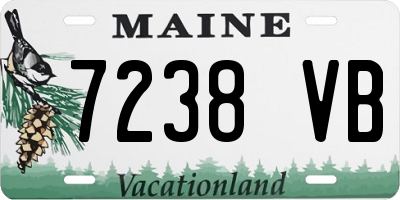ME license plate 7238VB