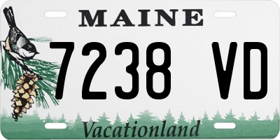 ME license plate 7238VD