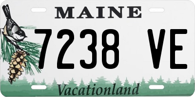 ME license plate 7238VE