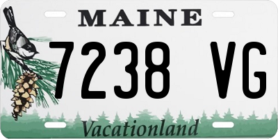 ME license plate 7238VG