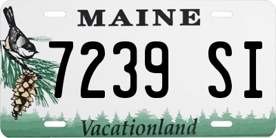 ME license plate 7239SI
